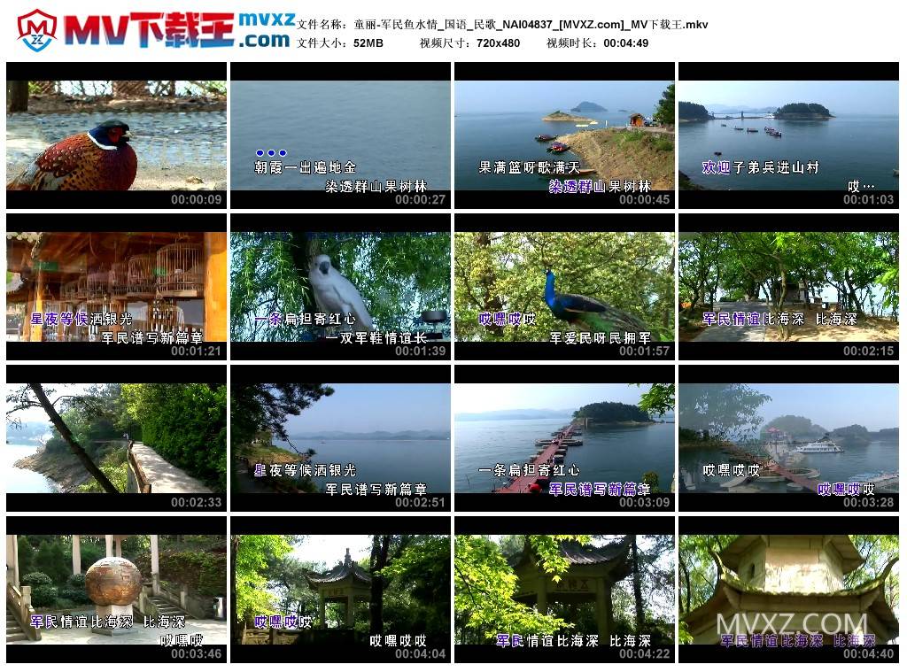 童丽-军民鱼水情_国语_民歌_NAI04837